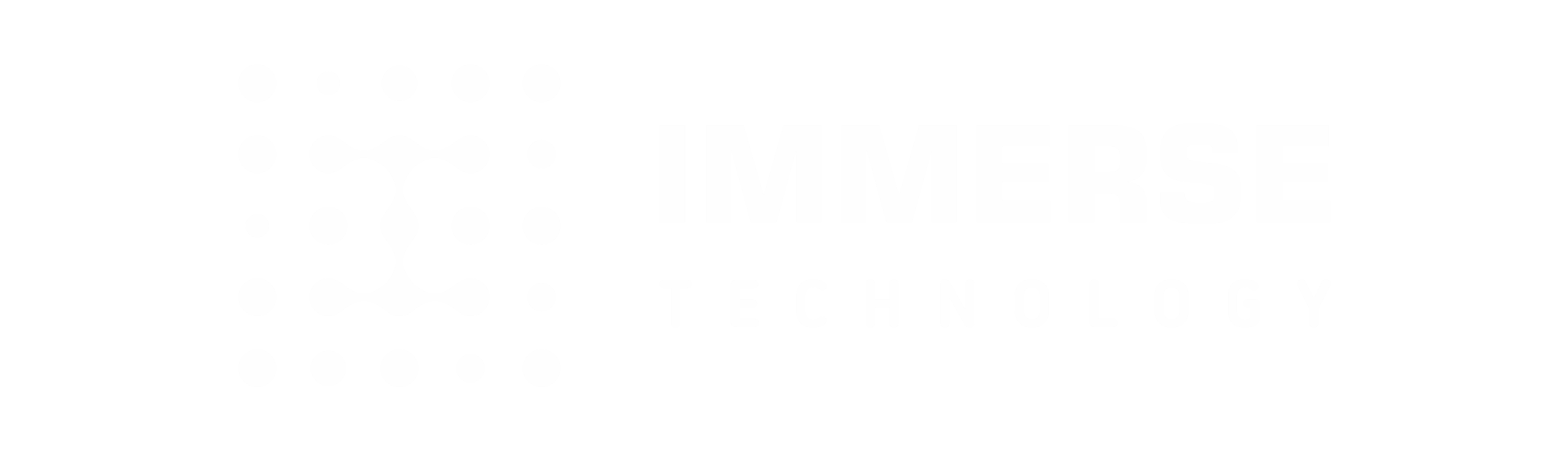 Logo Immerse Technology - Web Design